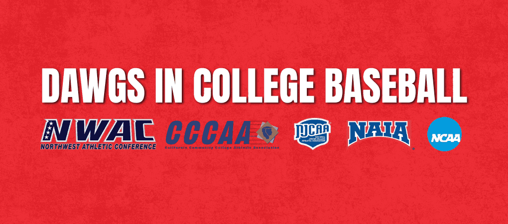 College Placement